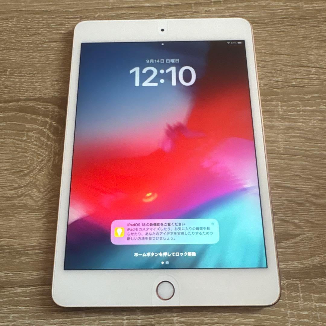 Apple iPad mini 5 256GB docomo 判定○ 100%