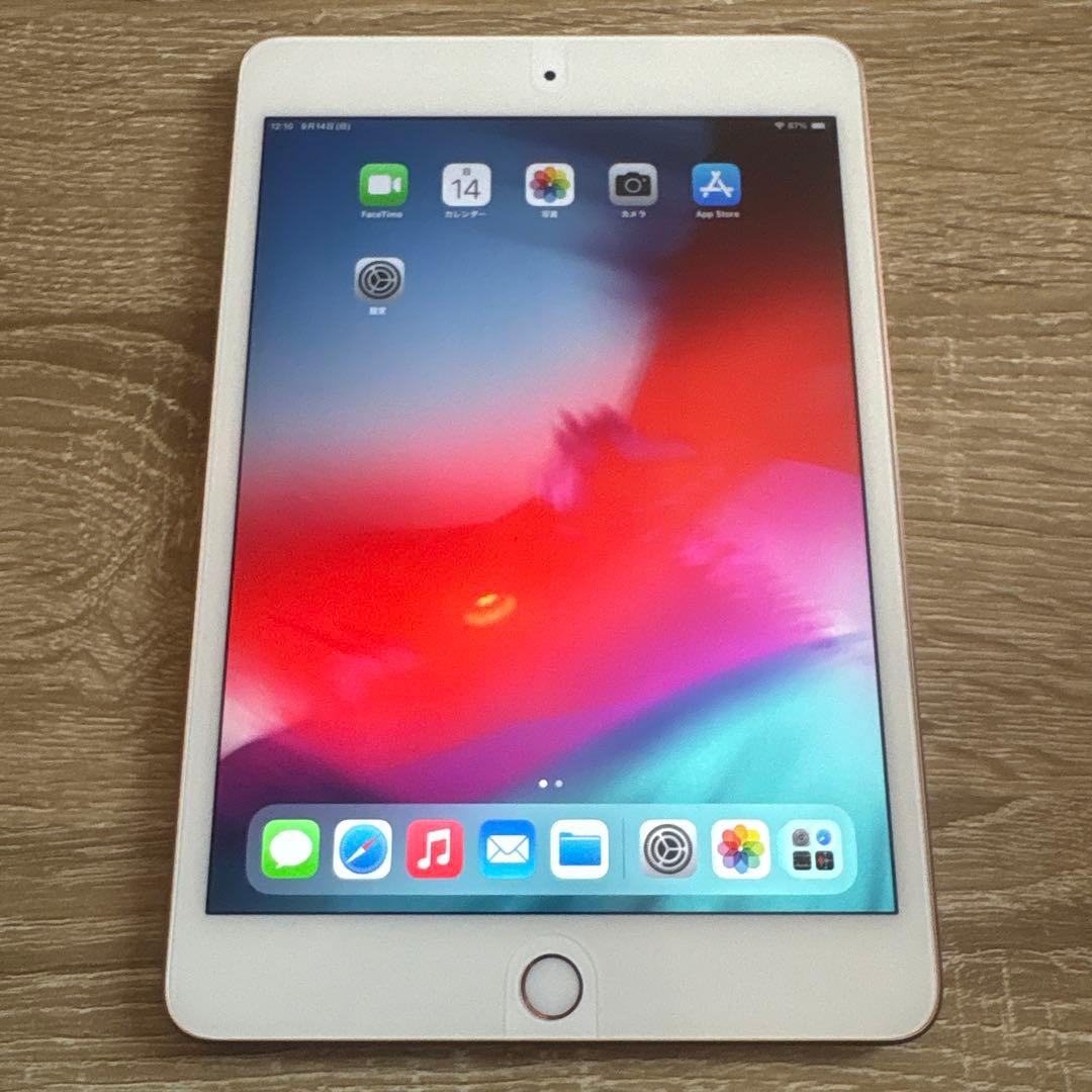 Apple iPad mini 5 256GB docomo 判定○ 100%