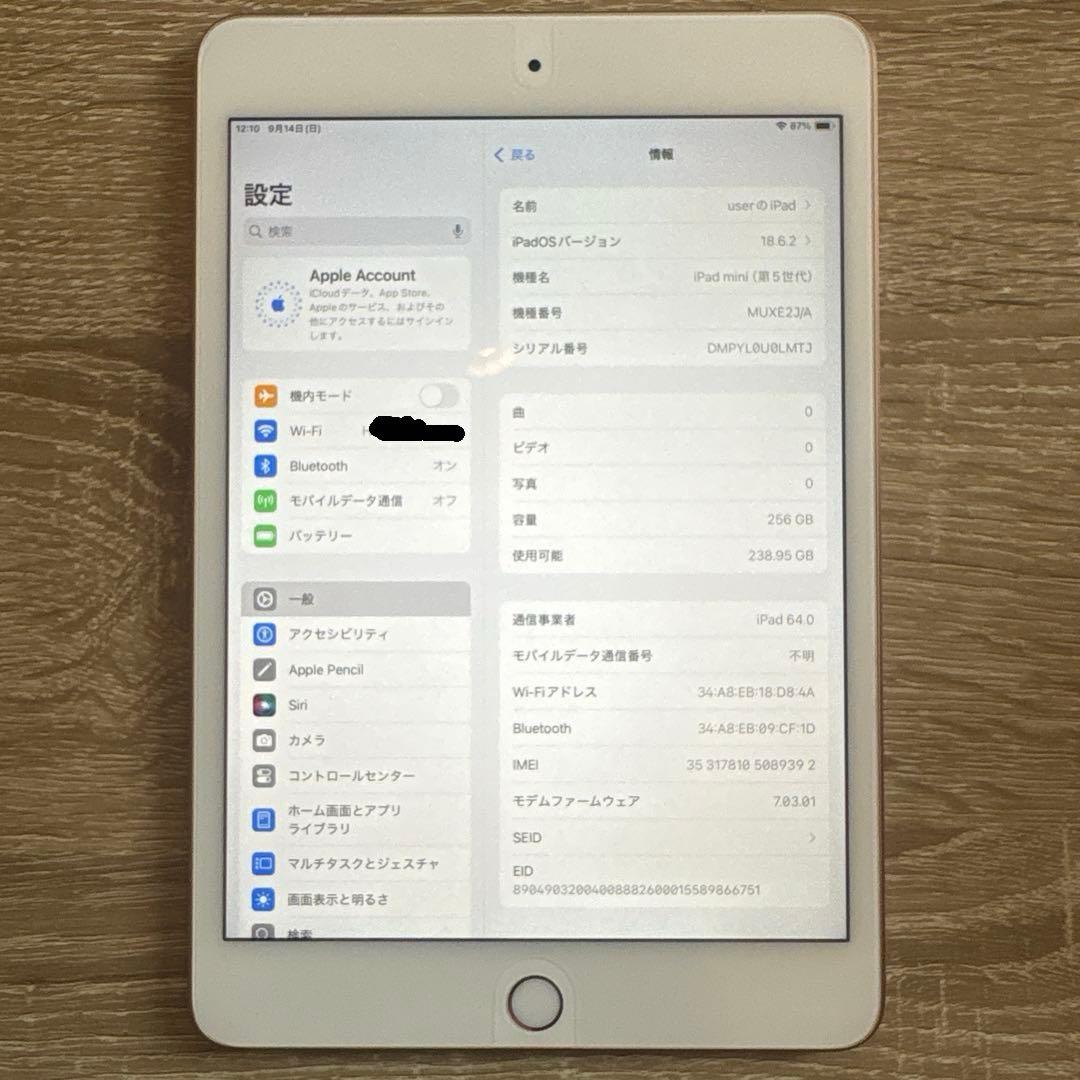 Apple iPad mini 5 256GB docomo 判定○ 100%