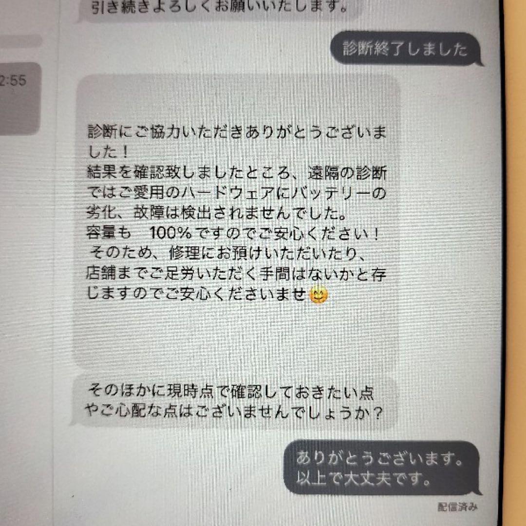 Apple iPad mini 5 256GB docomo 判定○ 100%