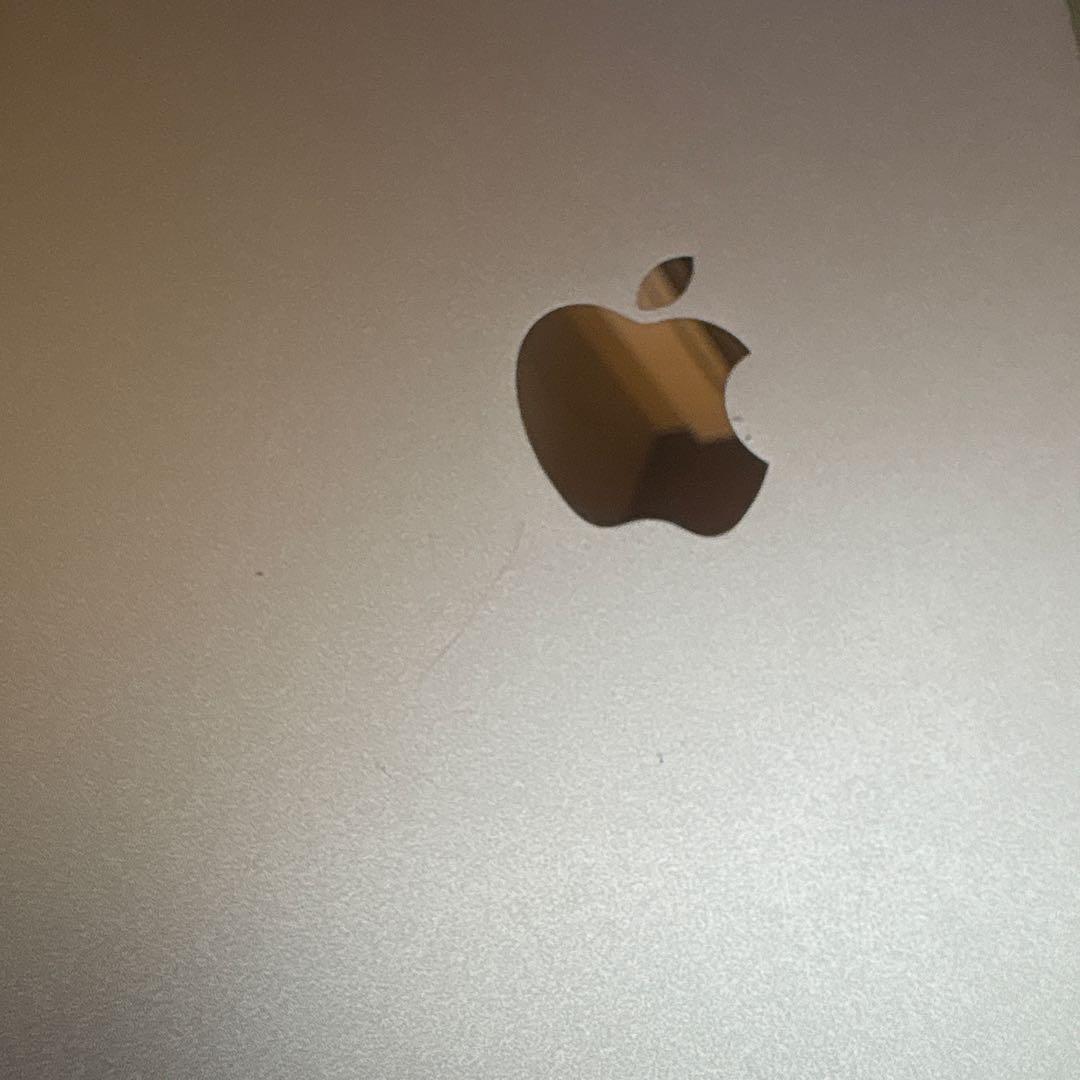 Apple iPad mini 5 256GB docomo 判定○ 100%