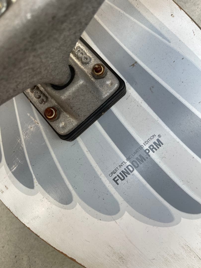 Taylor Knox スケートボード Carver Skateboards