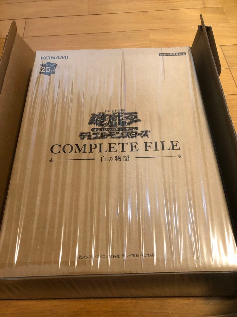 【貴重】遊戯王OCGデュエルモンスターズ COMPLETE FILE －白の物語
