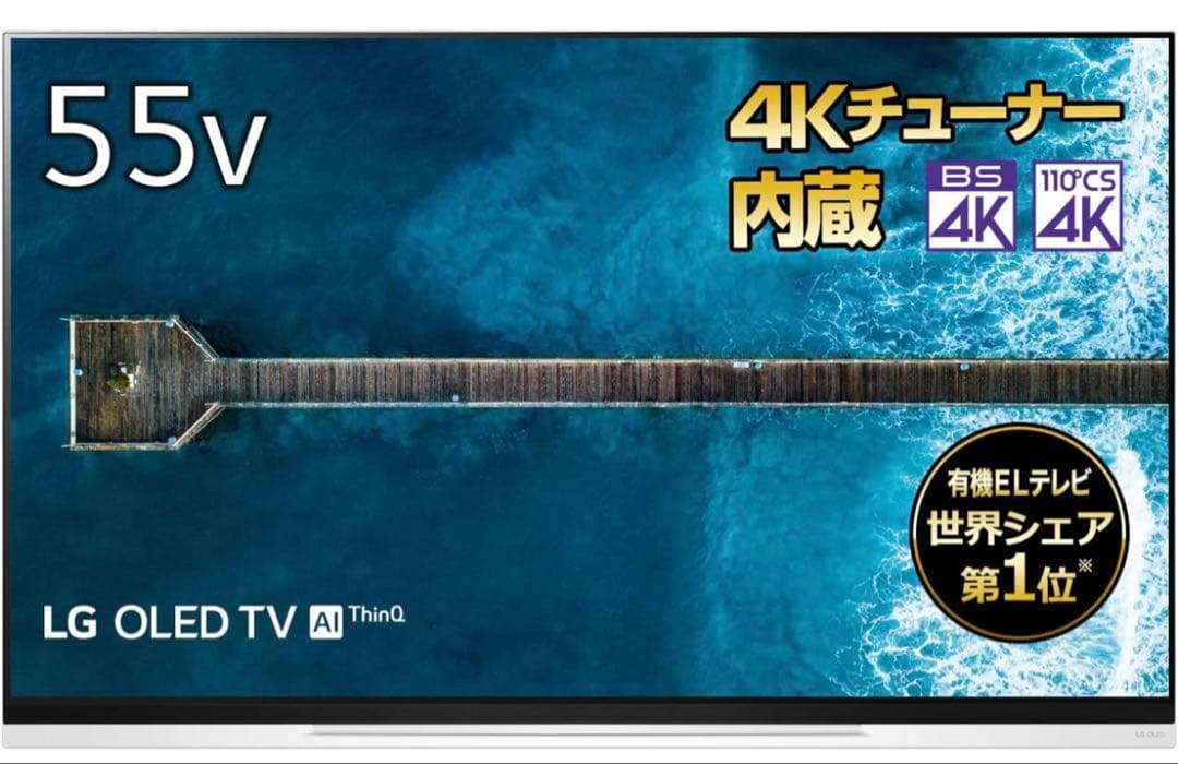 LG OLEDテレビ 55インチ OLED55E9PJA