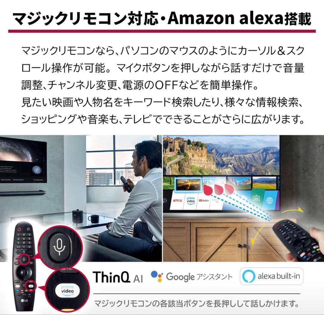 LG OLEDテレビ 55インチ OLED55E9PJA