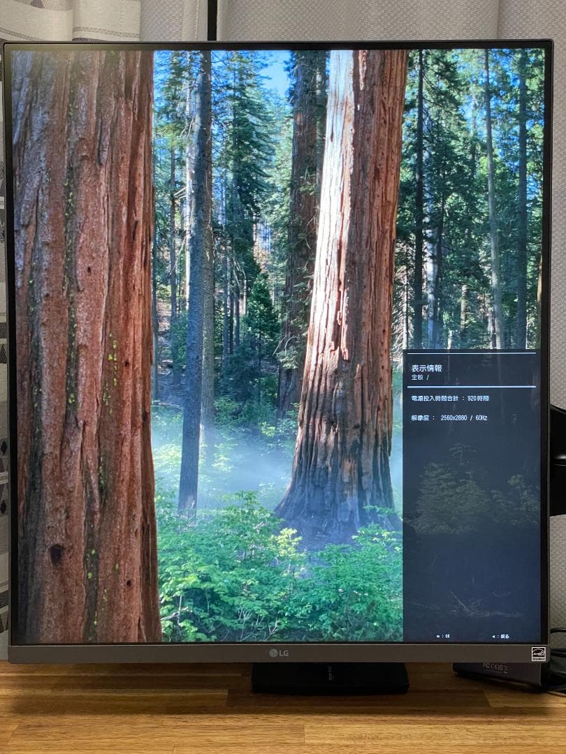 LG 28MQ750-C 2560×2880 ディスプレイ 920時間