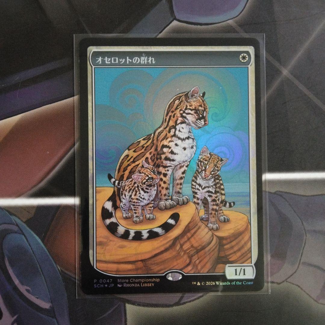 MTG　オセロットの群れ　ストアチャンピオンシップ