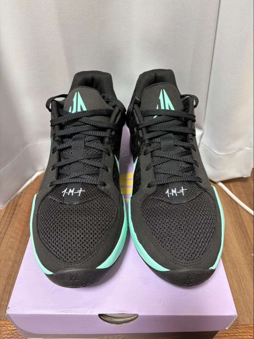 NIKE JA2 EP 30センチ