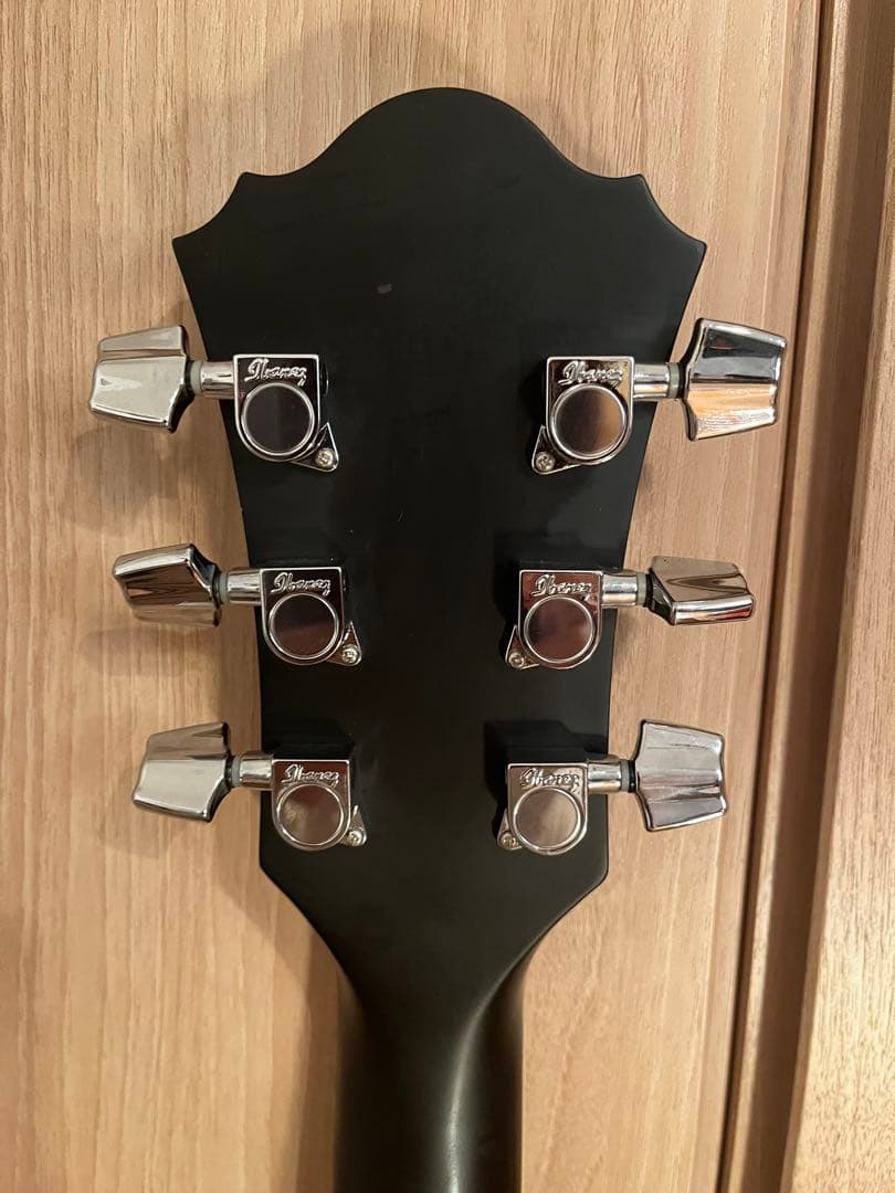 Ibanez AEL20E / AEL40SEジャンク　ケース付