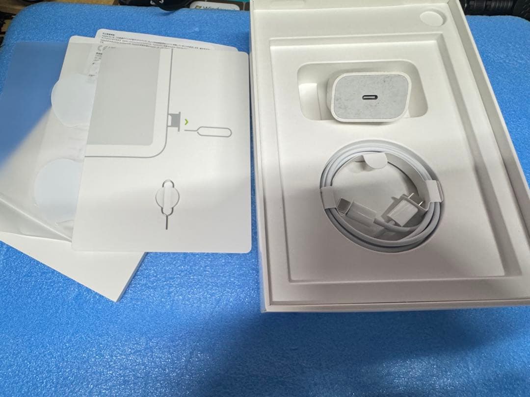 iPad本体 Apple iPad mini 6 Wi-Fi cellular 64GB