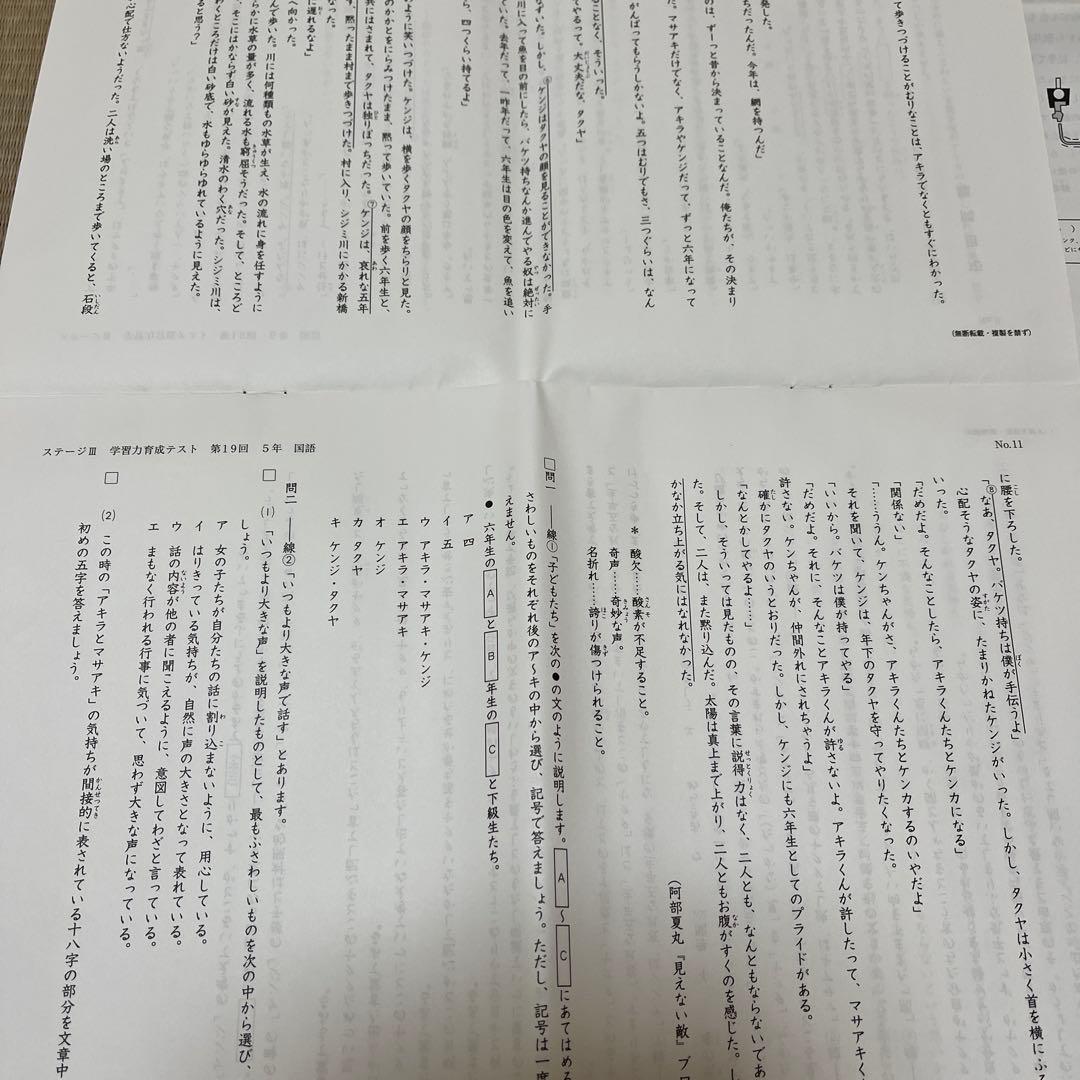 2025年 日能研 5年 ステージⅢ 育成テスト