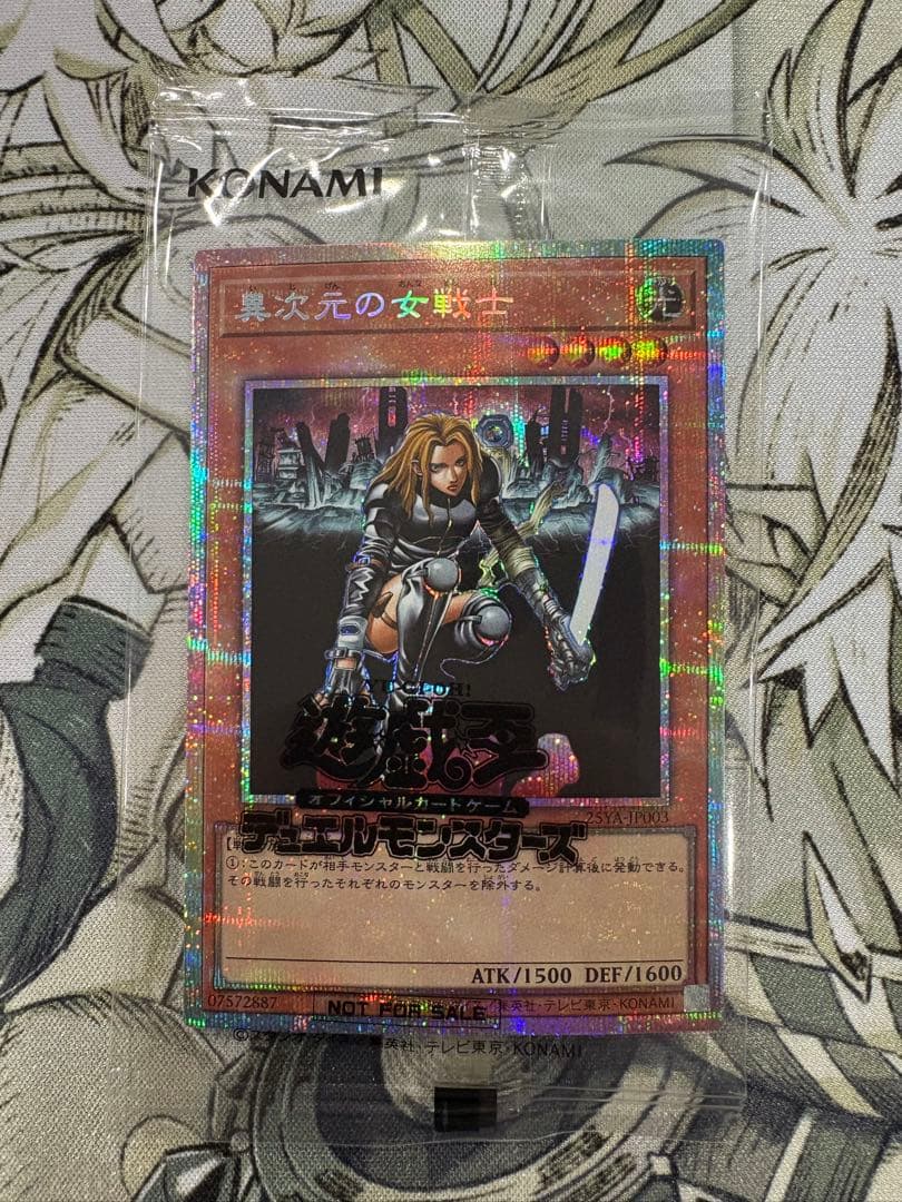 異次元の女戦士