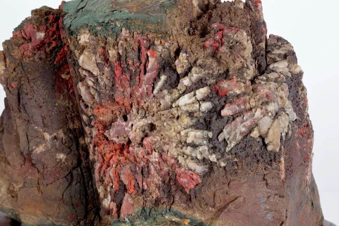 天覧 天然菊花石 大輪 6.5kg 台座付 鑑賞石 盆石 水石 自然石 美石