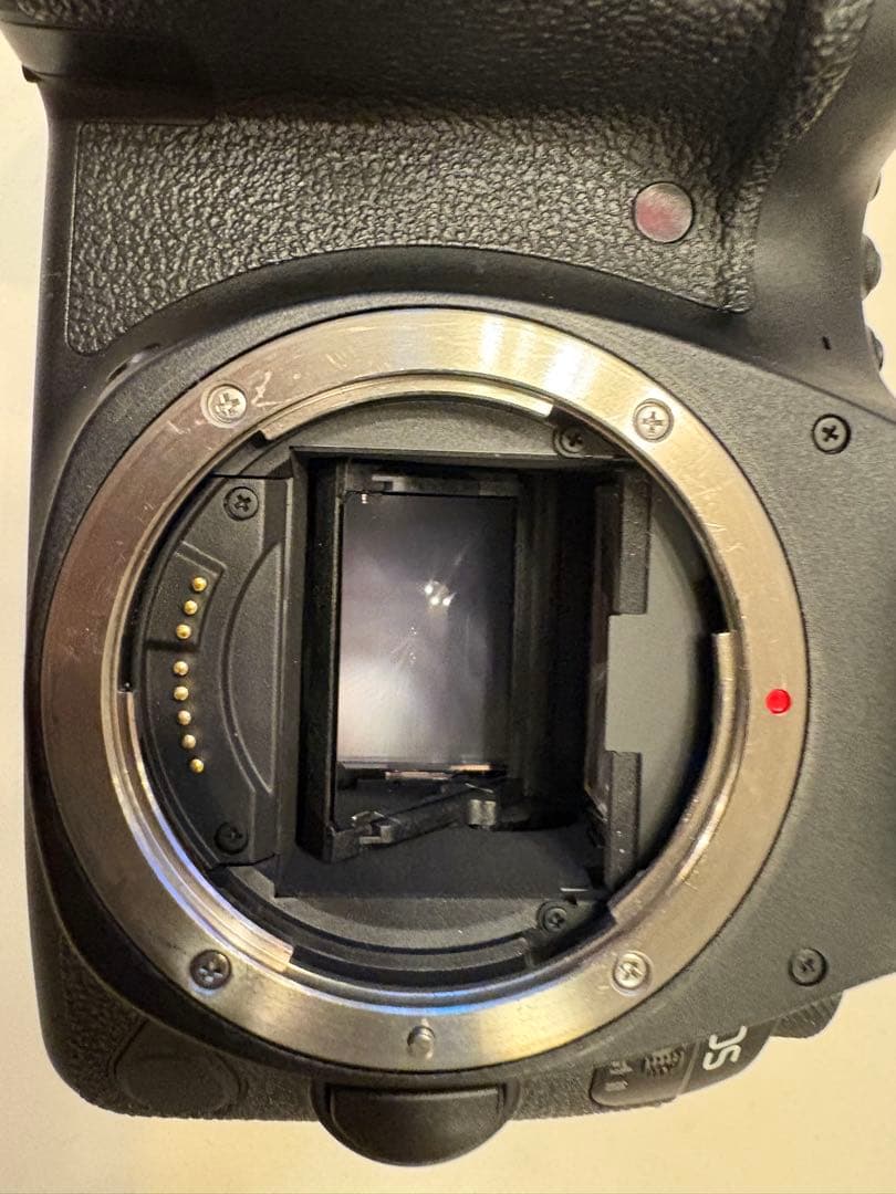 mmRj さん専用 Canon EOS 6D Mark II 本体と付属品