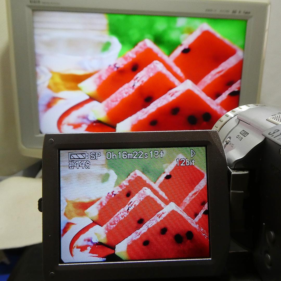 動作良好 パナソニック NV-GS100 MiniDVビデオカメラDVD化に最適