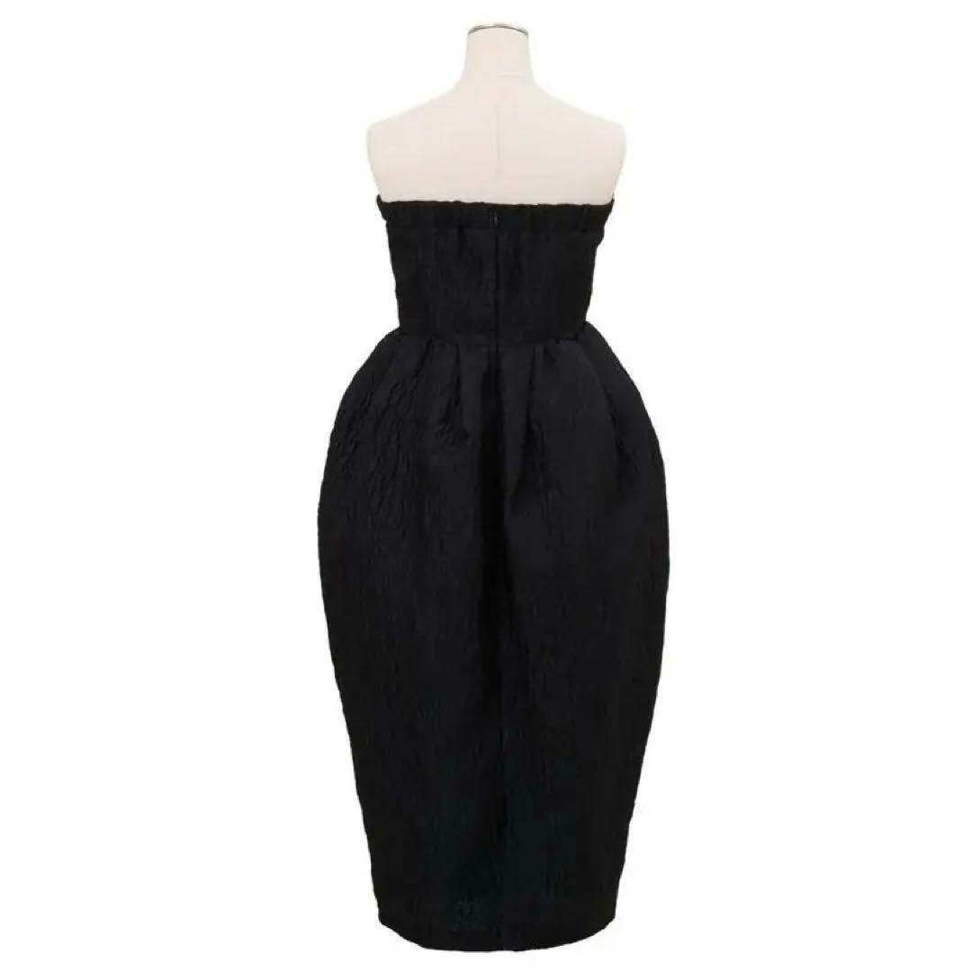 Cygne ベアトップワンピース Jacques