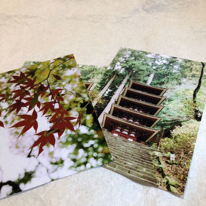 NIKON F4 フィルム一眼レフカメラ