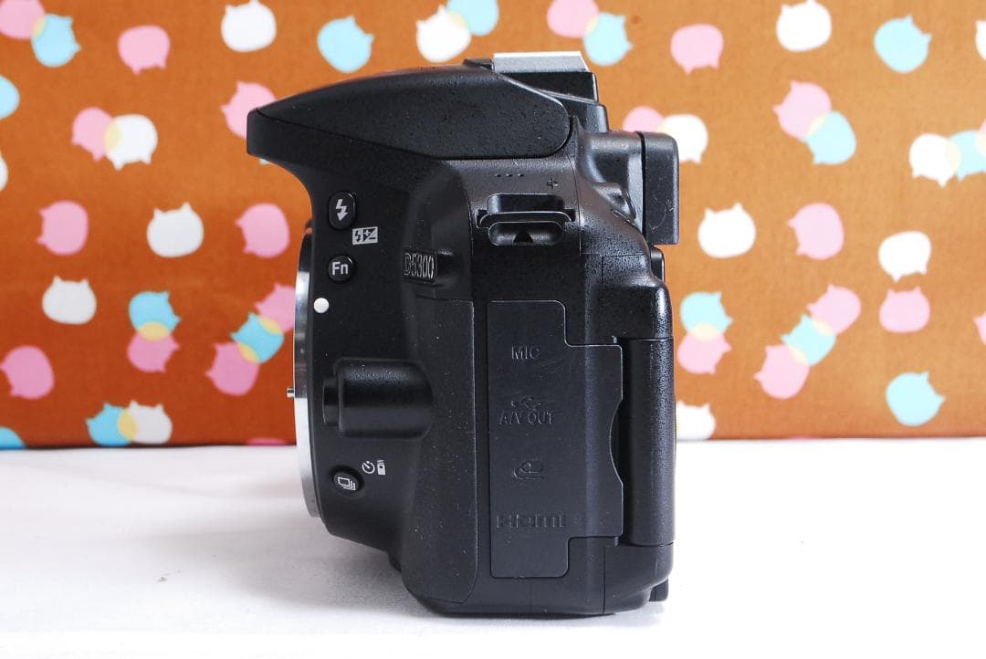 ✨美品✨Wi-Fi搭載機種✨Nikon D5300 ダブルレンズセット