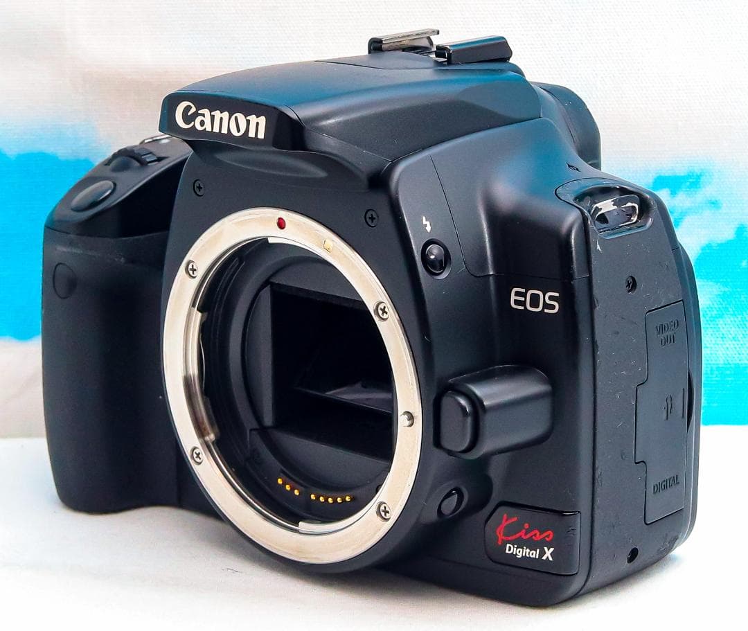 Canon kiss X⭐️スマホに転送⭐️大人気機種⭐️デジタル一眼レフ
