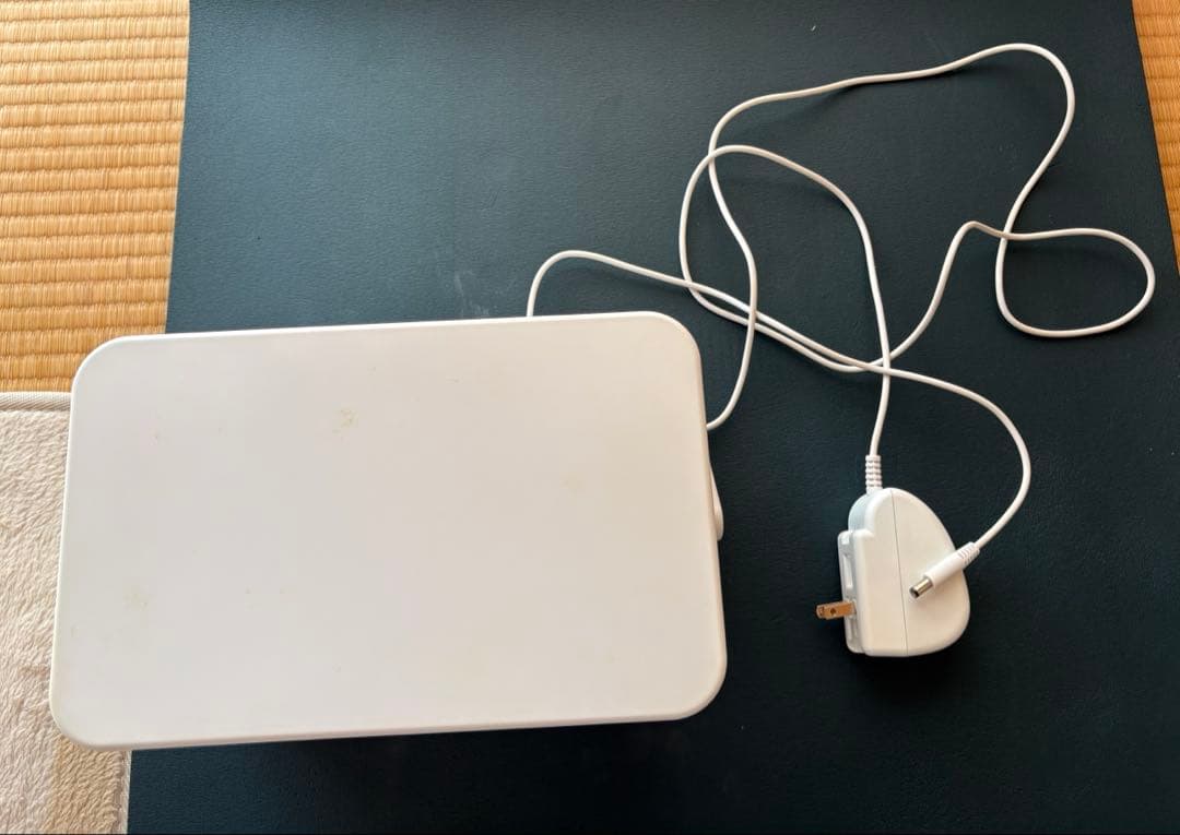 CASIO プリン写ル/PCP2200