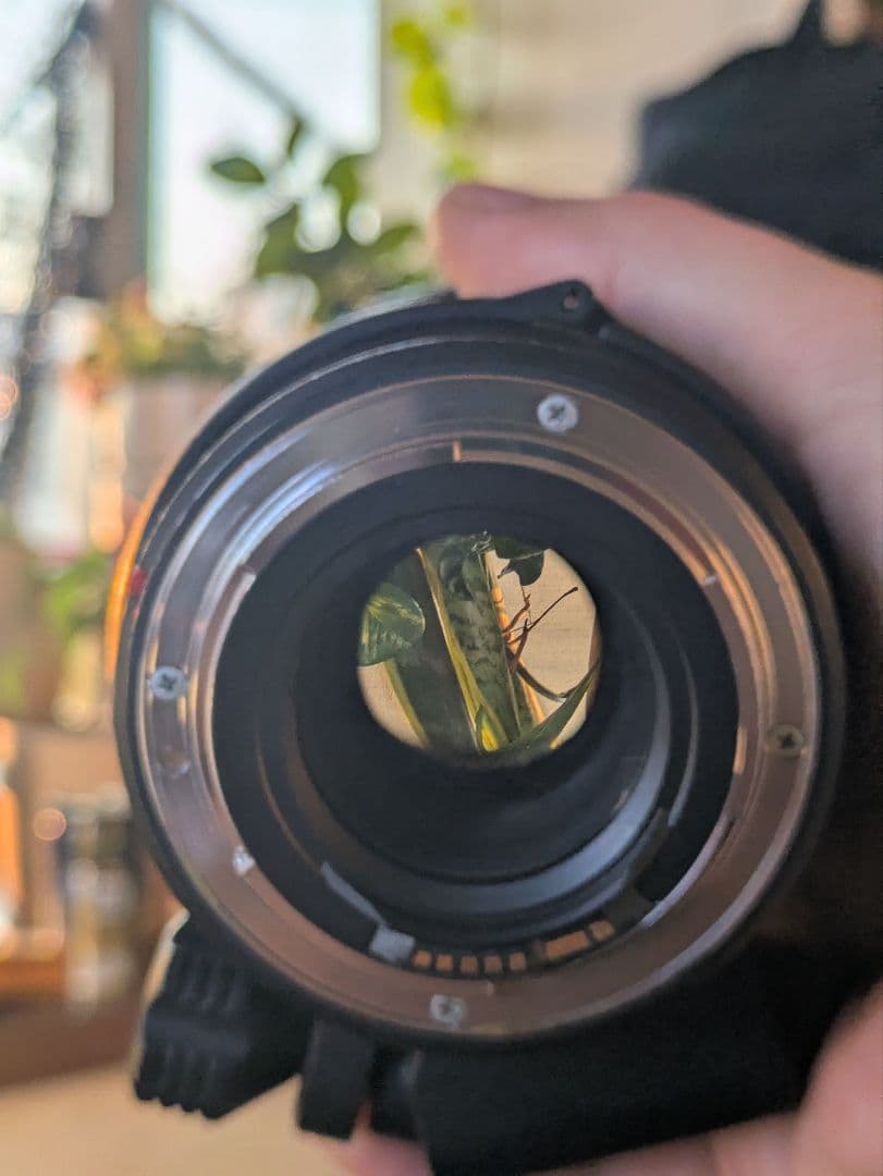 TAMRON AF 70-200mm f/2.8 レンズ ジャンク