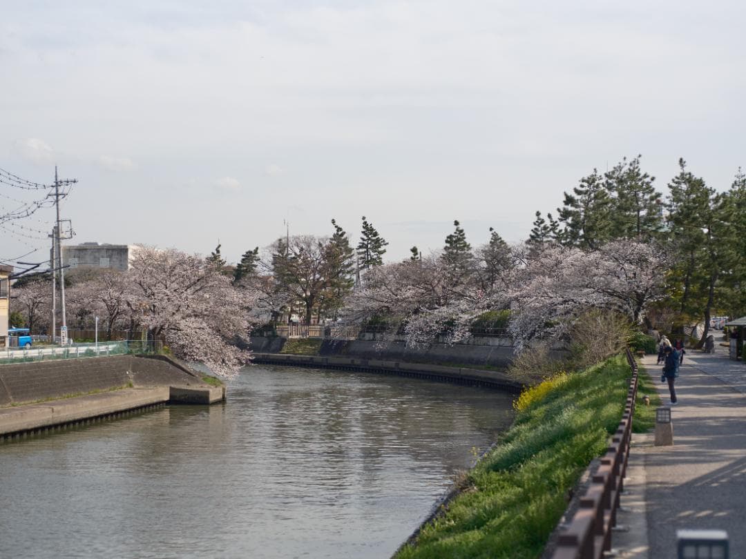 MAMIYA SEKOR C 80mm F1.9 マミヤ　中古