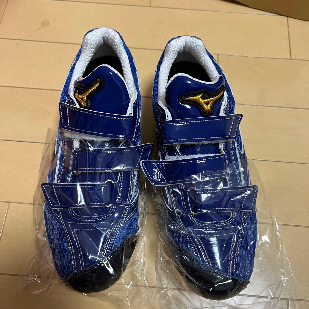 Kさん専用　Mizuno 野球シューズ スパイク 青
