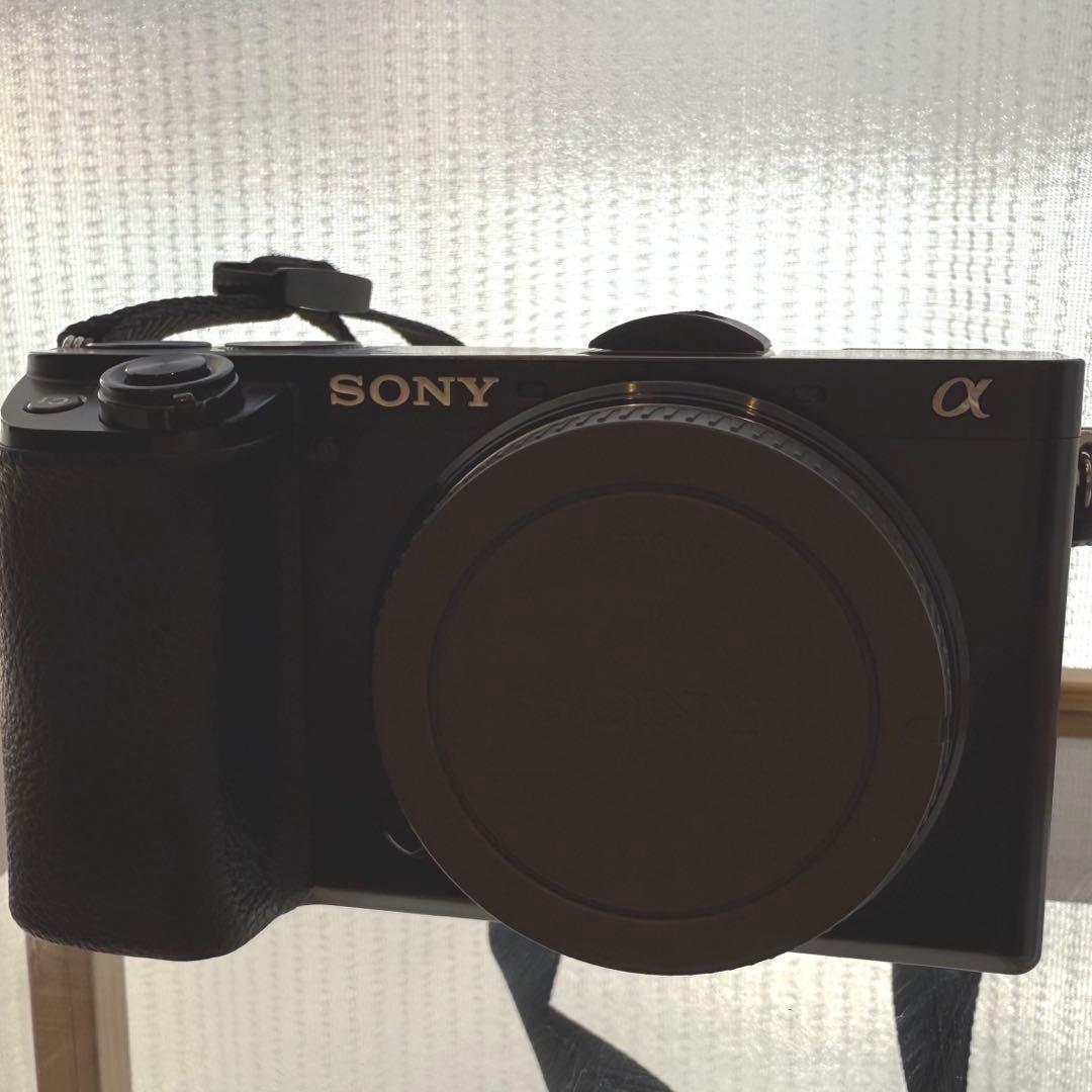 SONY α6100 ミラーレス一眼 本体と付属品