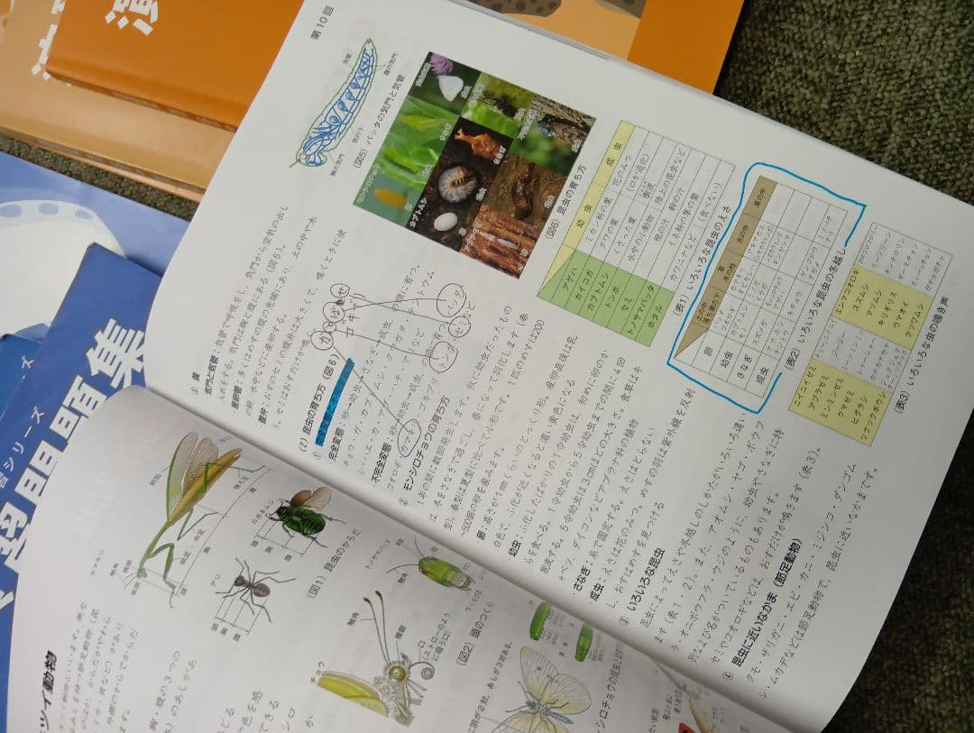 四谷大塚６年予習　演習上/漢字上下/国算最難関上　中古　2024年版