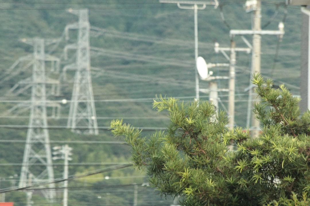 Knnnnh☆ミ ✨美品 完動品✨キヤノンCanon EF-S 55-25