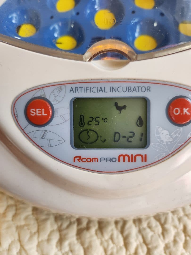 リトルママ　Rcom Pro Mini PX-03　人工孵化器　孵卵器