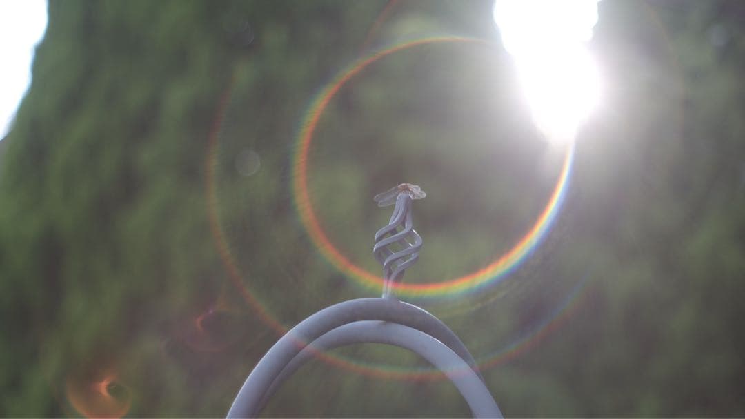 Super Takumar 55mm f1.8 綺麗なフレア