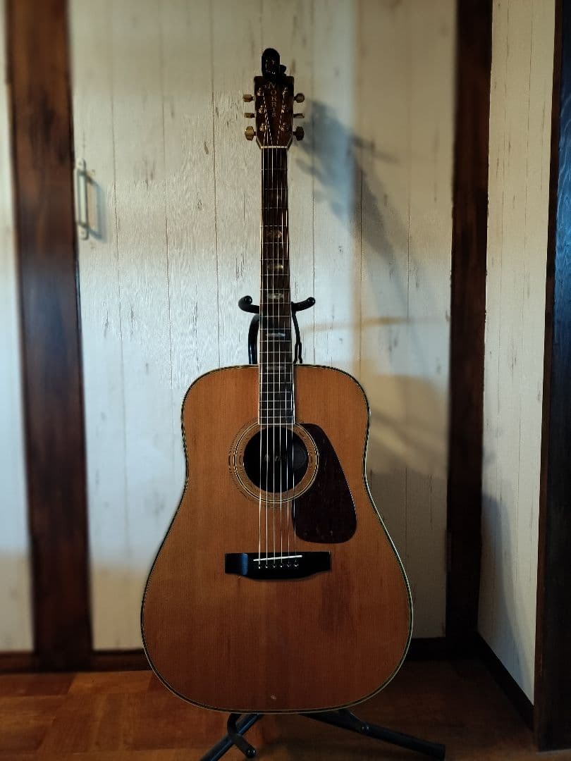 Morris TF-60　貴重　ハカランダ！　 ギグバッグ付き　今月で終了！