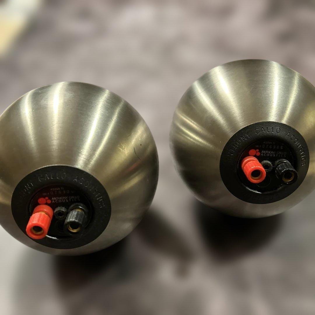 Anthony Gallo A’Diva Ti