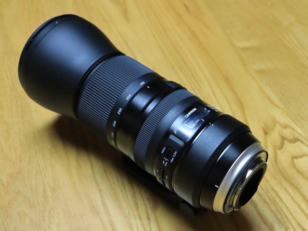 TAMRON 150-600 Di VC USD G2 F5-6.3キャノン用