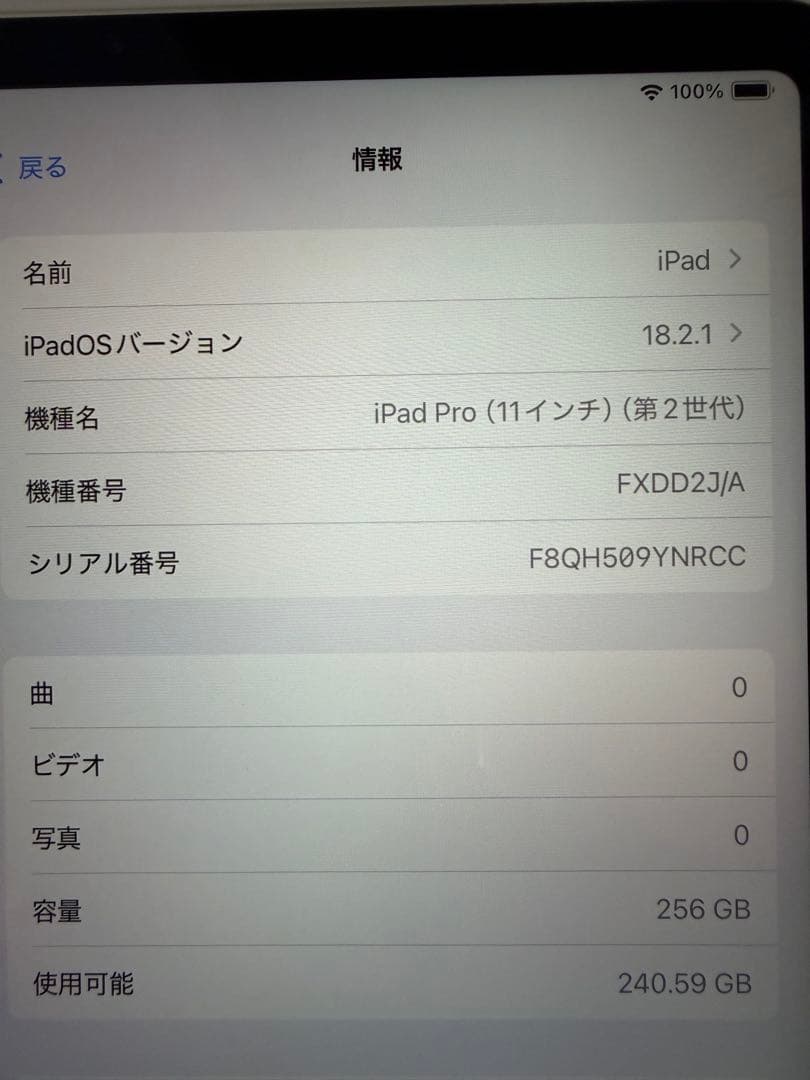 Apple iPad Pro (11インチ) 第2世代 256GB