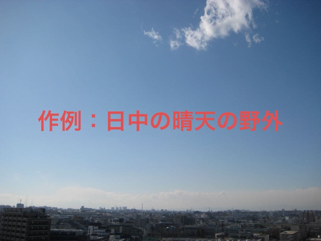 極上品【動作品】Canon キャノン IXY DIGITAL 10 PC1228