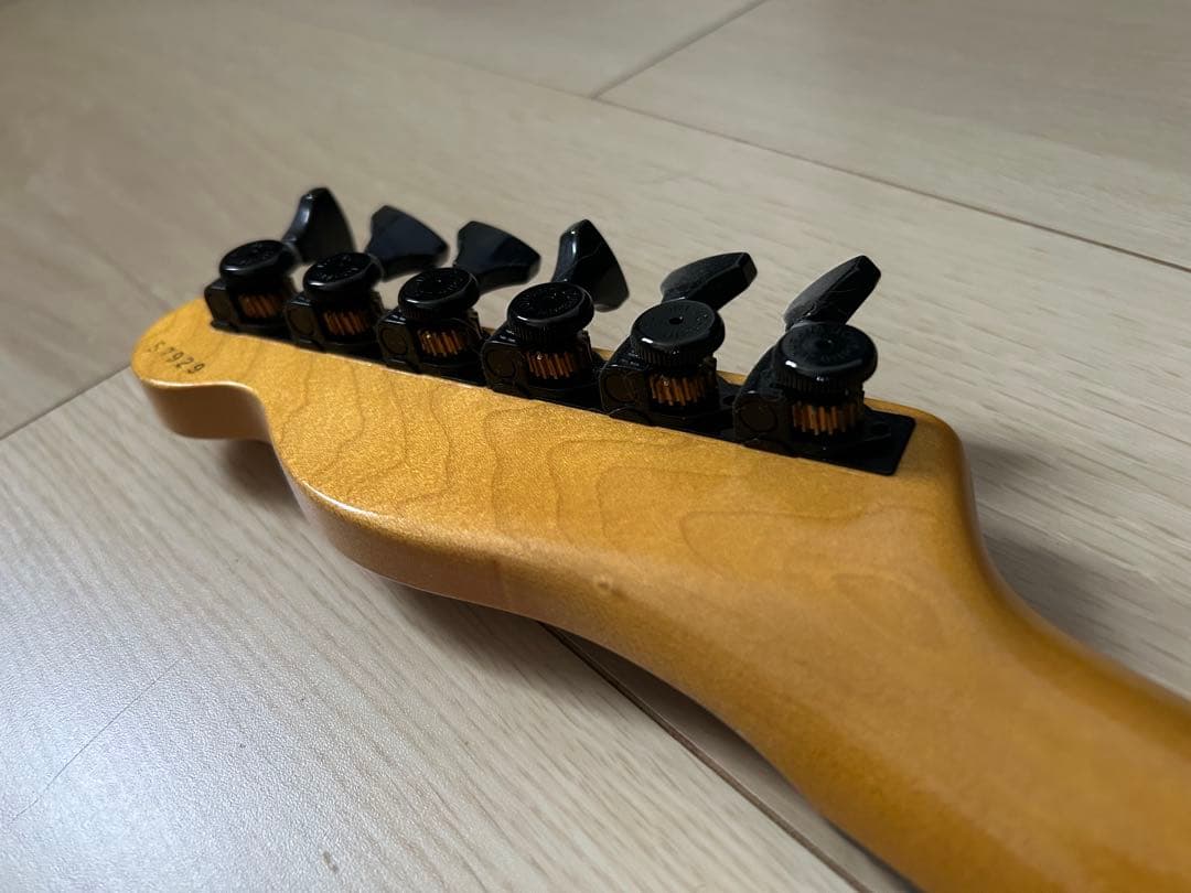 MOON raggae master ビグスビー付　ハカランダ　中古