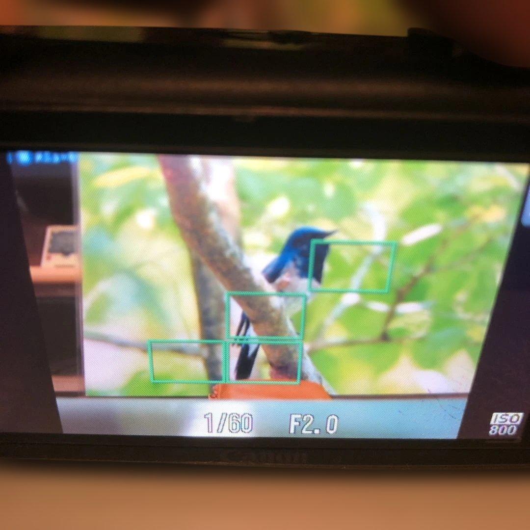 Canon IXY 30S コンパクトデジタルカメラ ブラック