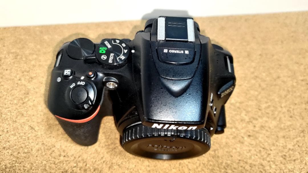 Nikon デジタル一眼レフカメラ D5600 ダブルズームキット、おまけ付