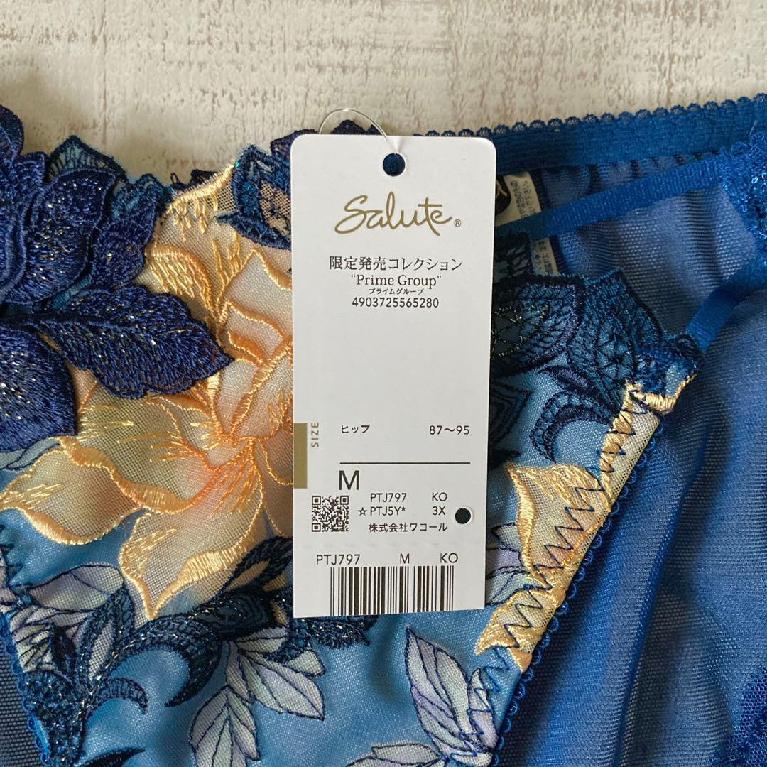 【サルート】 H70&ノーマルM マレフィセント　97G