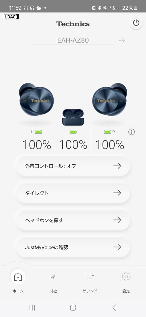 【美品】Technics ワイヤレスイヤフォンEAH-AZ80 日本未発売限定色