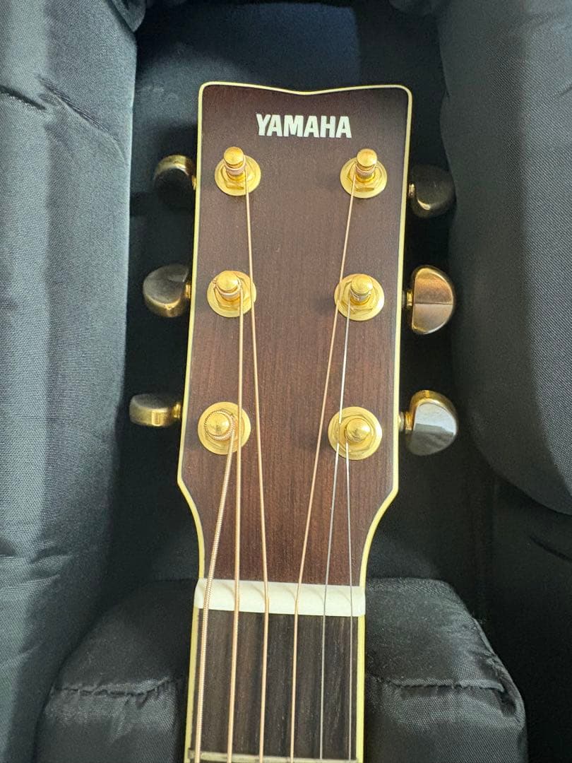 ギター Yamaha LL6