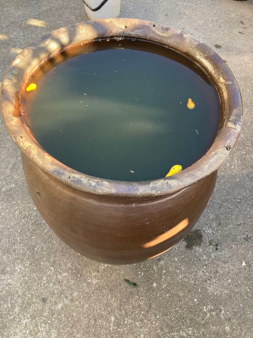 時代物 陶器の大型甕 古い壺 。茶褐色。和モダン 高さ64センチ