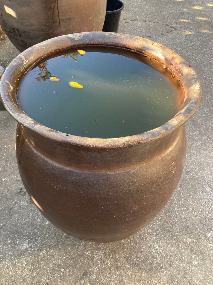 時代物 陶器の大型甕 古い壺 。茶褐色。和モダン 高さ64センチ