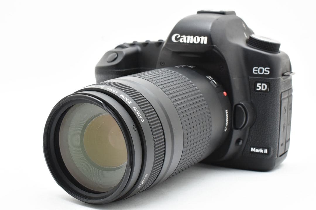 Canon EOS 5D mark II / Canon EF 75-300㎜