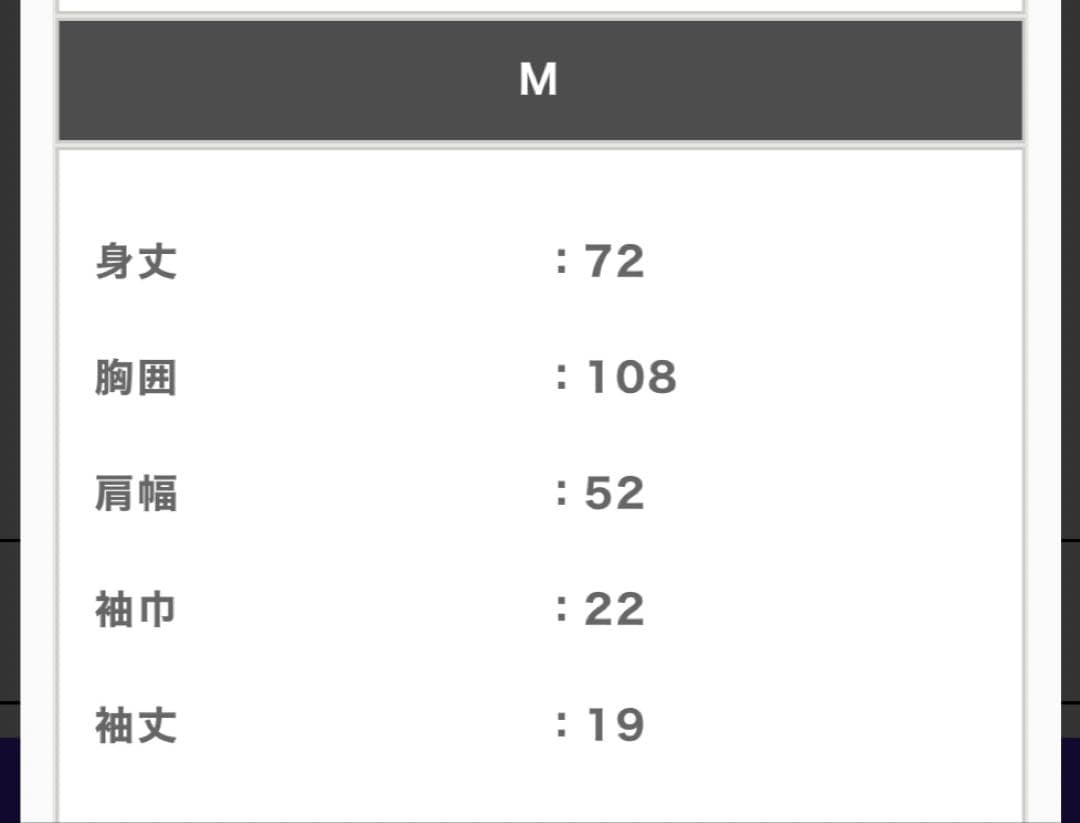 HERENESSヒアネス／Tシャツ 2枚SET