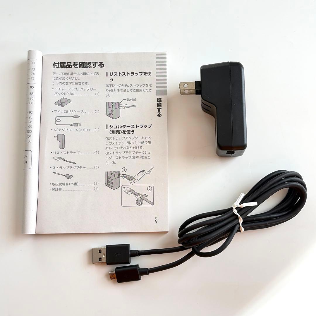 初代 SONY サイバーショット DSC-RX100