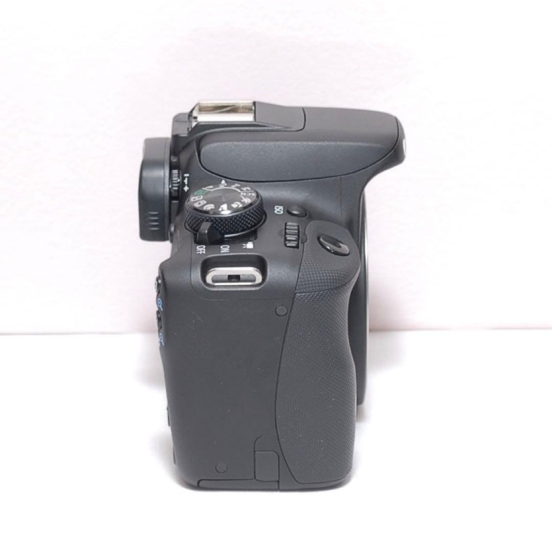 ✨スポーツ観戦におすすめ✨CANON KISS X7✨超望遠レンズ✨スマホ転送