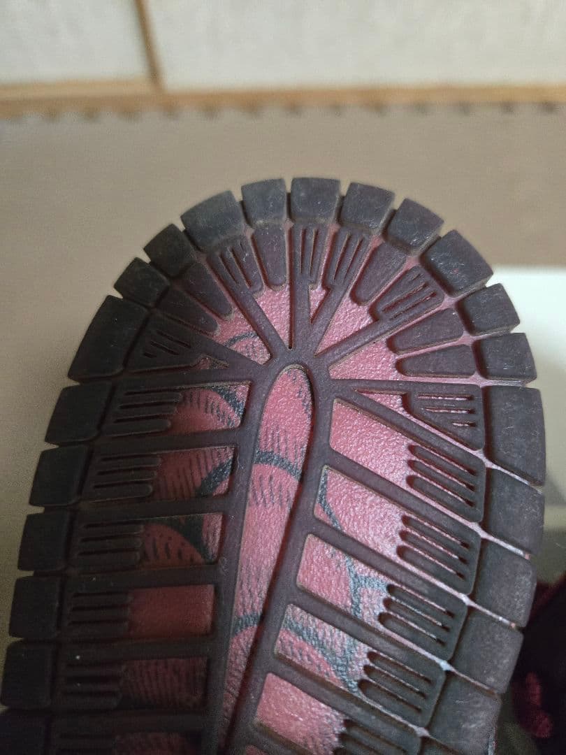 スケートボード Nike SB Dunk Low Riot Skate Bords 28.0cm